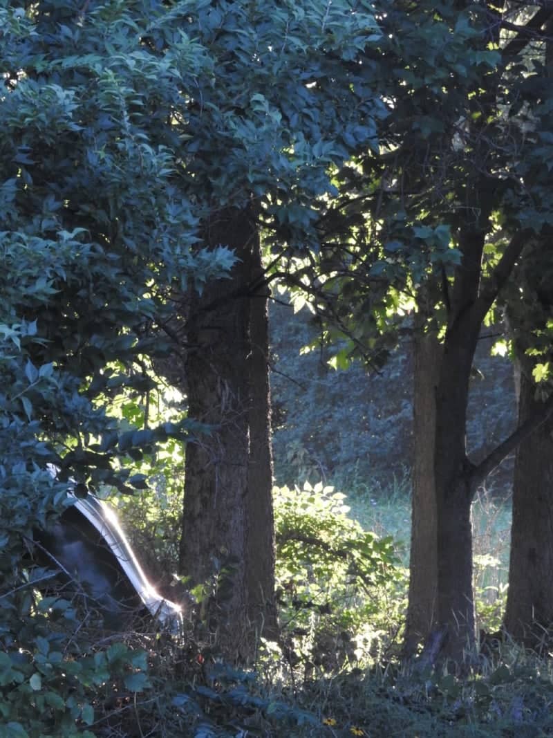 Liberty Township Woodland Edge - Image 1