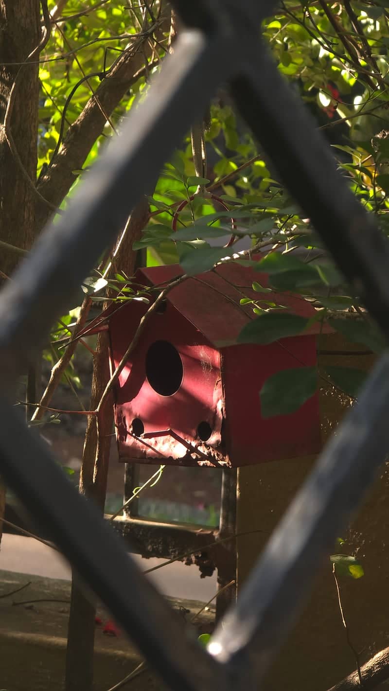 Red Birdhouse Garden - Image 1