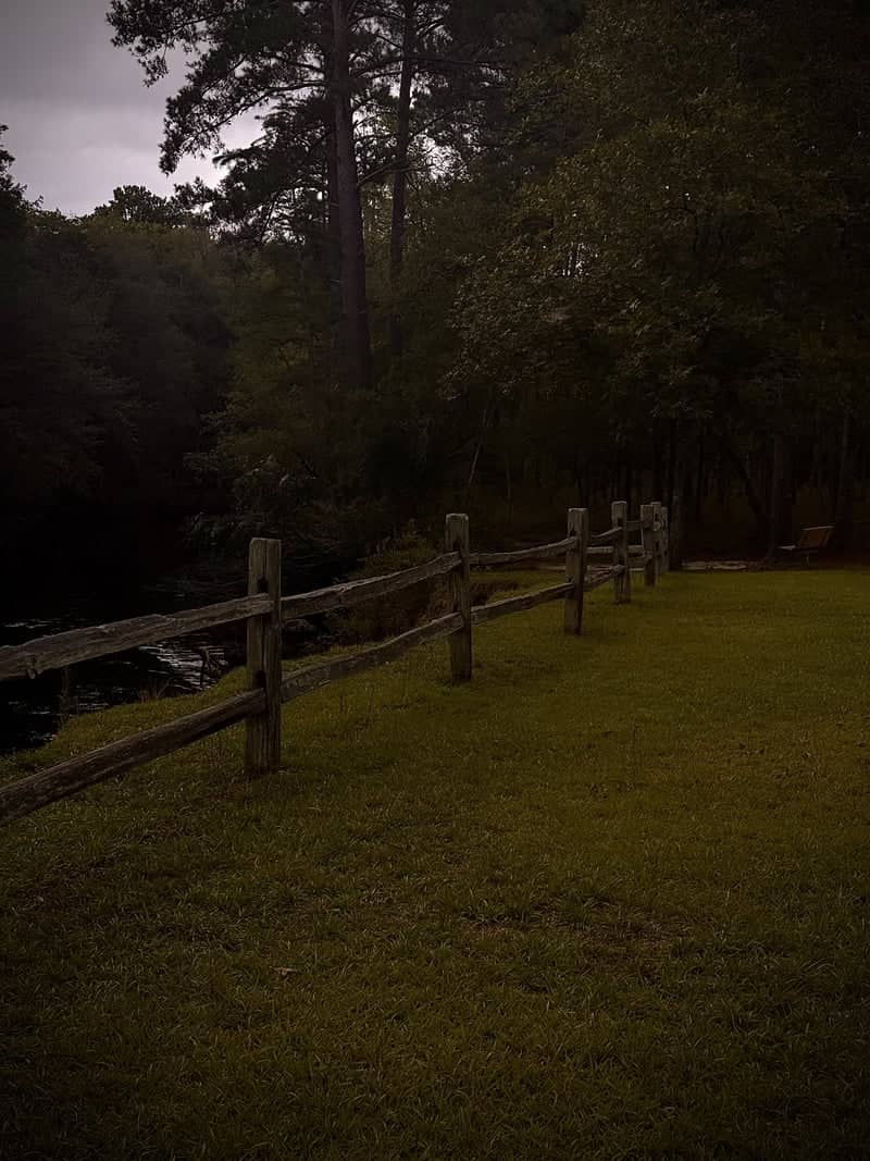 Lumber River State Park - Chalk Banks Access - Image 1