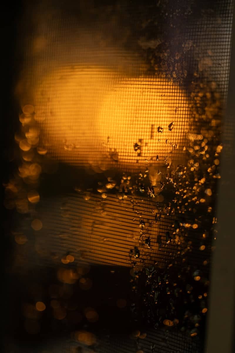 Wesson Rural Textures - Image 1