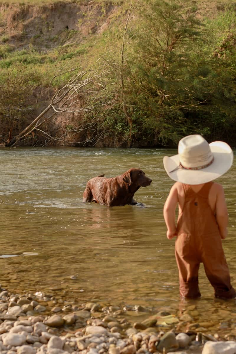 Guadalupe River at River Ranch - Image 1
