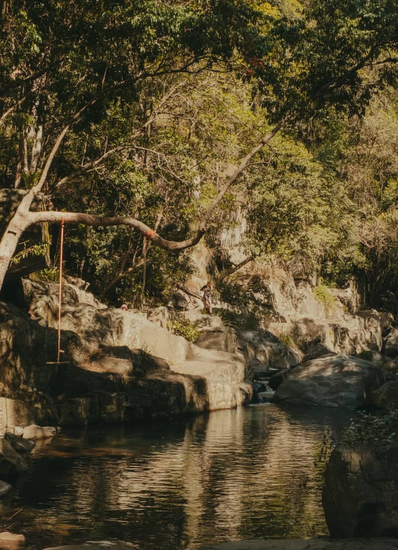 Cedar Creek Falls (Moreton Bay) - Image 1