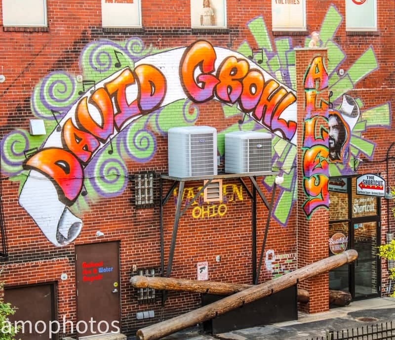 David Grohl Alley - Image 1