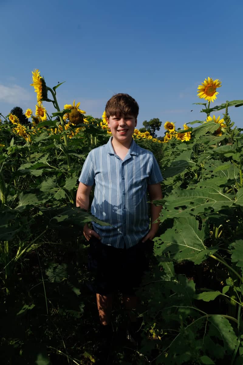 Delozier Sunflower Field - Image 4