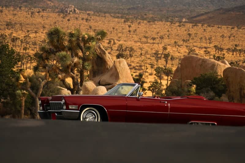 Joshua Tree National Park - Image 1
