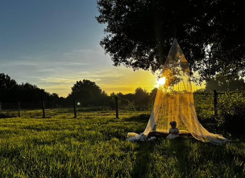 Punta Gorda Countryside - Image 1