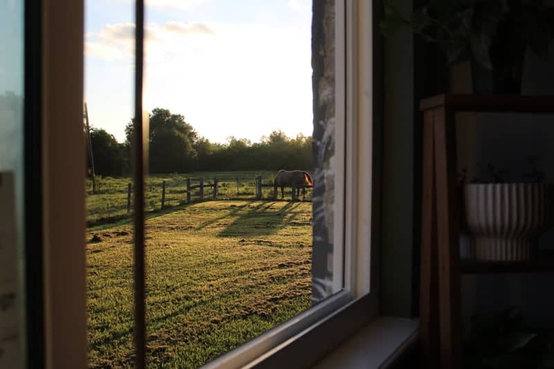 Punta Gorda Horse Pasture - Image 1