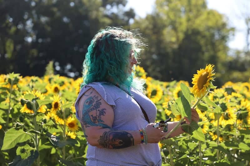 Country Pumpkins Sunflower Field - Image 1