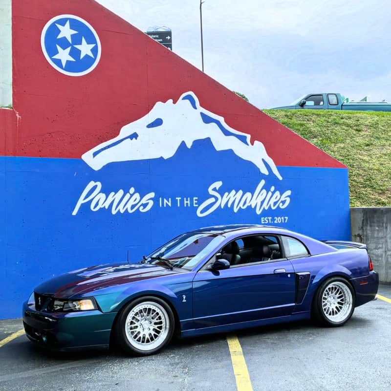Ponies in the Smokies Mural - Image 1