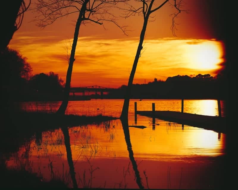 Black Warrior Riverwalk - Image 1