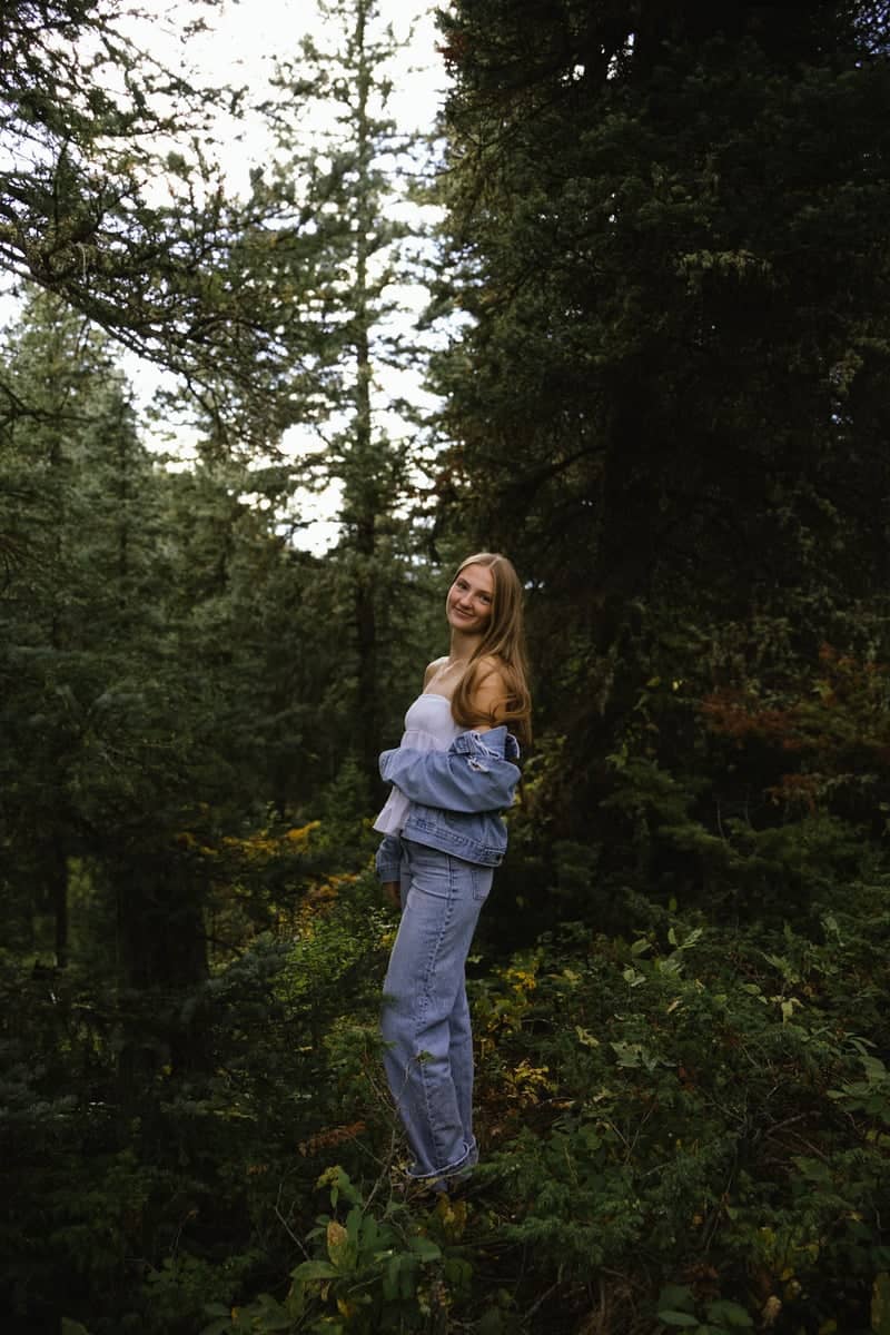 Hyalite Canyon Forest - Image 1