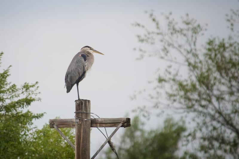 Fountain Creek Nature Center - Image 1