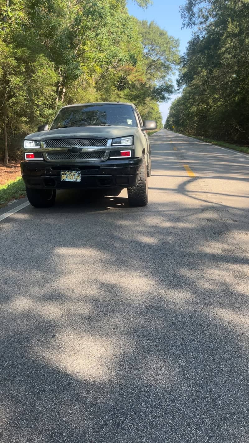 Vidor Forest Backroad - Image 1