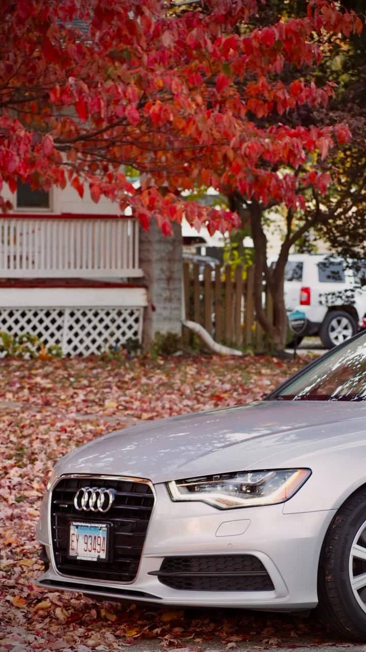 Franklin Avenue Autumn Streetscape - Image 1