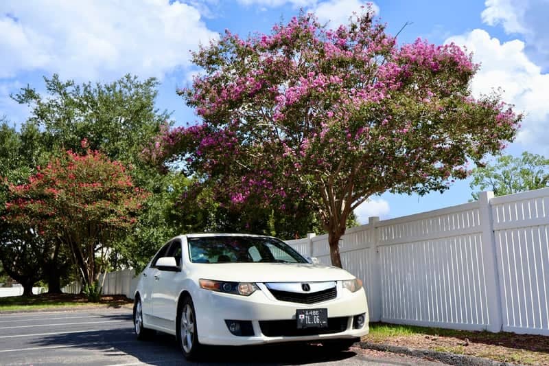 Crepe Myrtle Parking Lot - Image 1