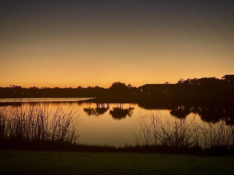 Palm View Drive Lakefront - Image 1
