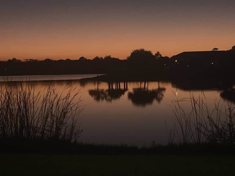 Palm View Lake Sunset - Image 1