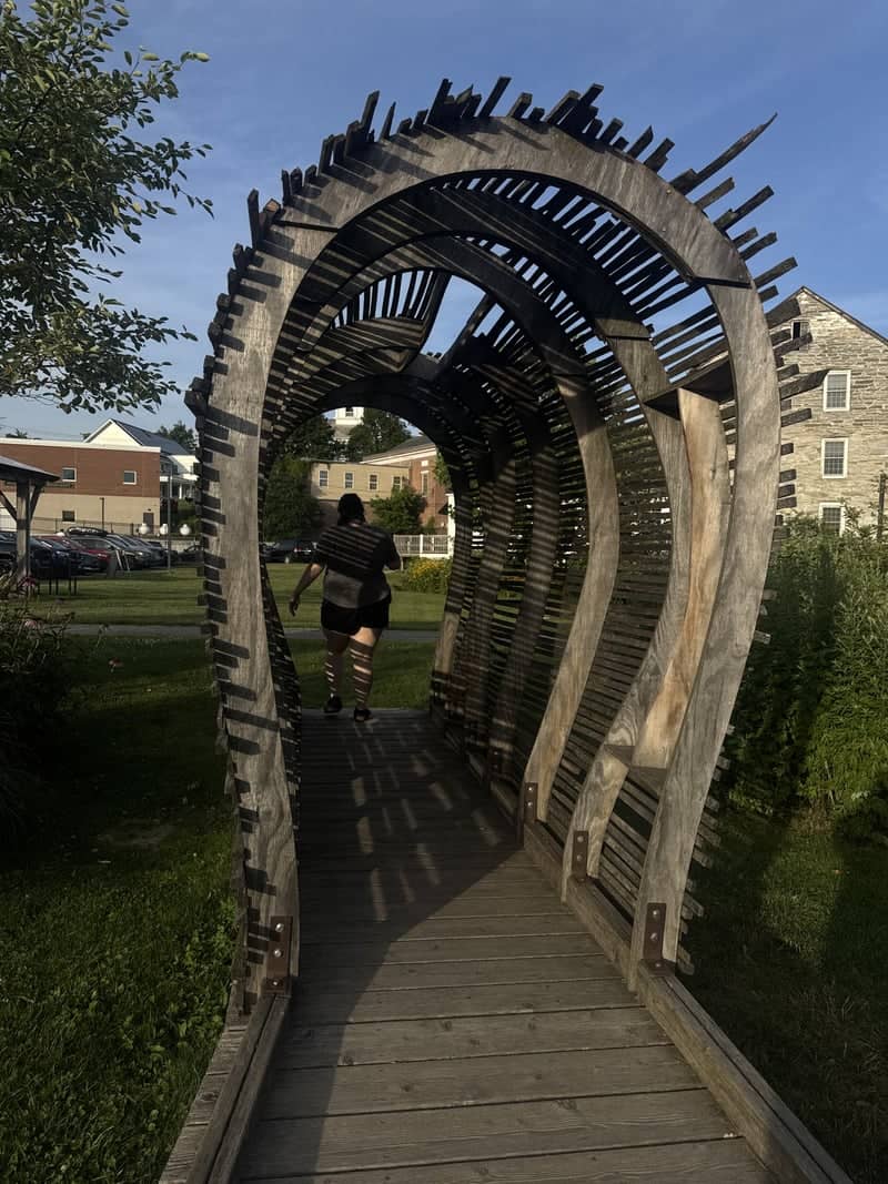 Middlebury Wooden Sculpture Tunnel - Image 1