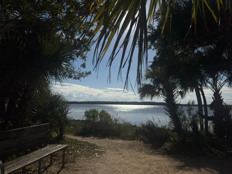 Tomoka State Park River View - Image 1