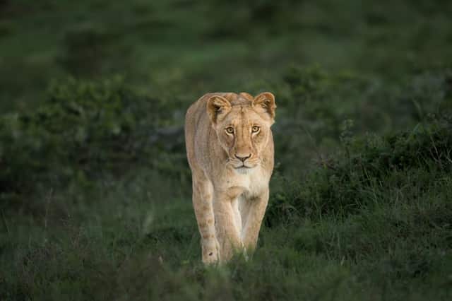 Addo Elephant National Park