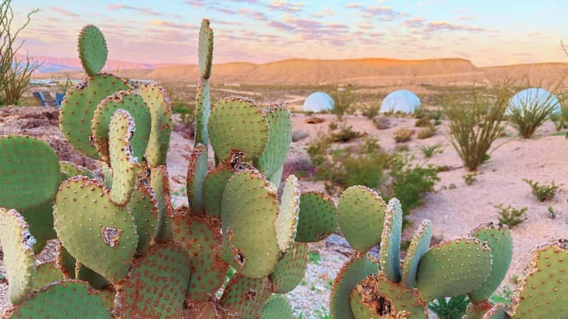 Basecamp Terlingua Desert View - Image 1