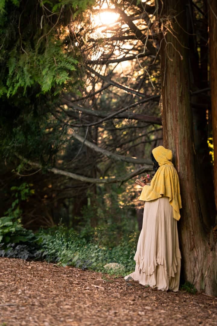 Bartlett Arboretum & Gardens - Image 1