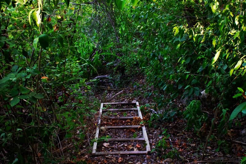 Leander Wooded Path - Image 1