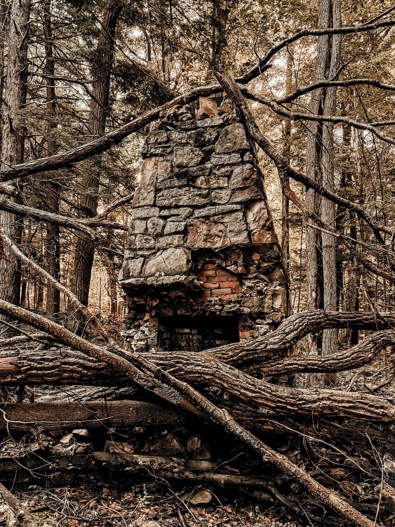 Stone Chimney Ruin in New Kensington Woods - Image 1