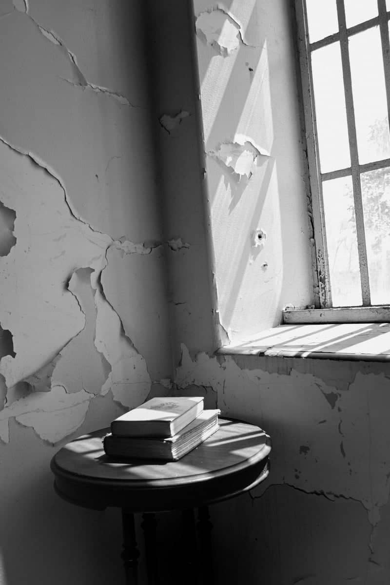 Trans-Allegheny Lunatic Asylum - Image 1