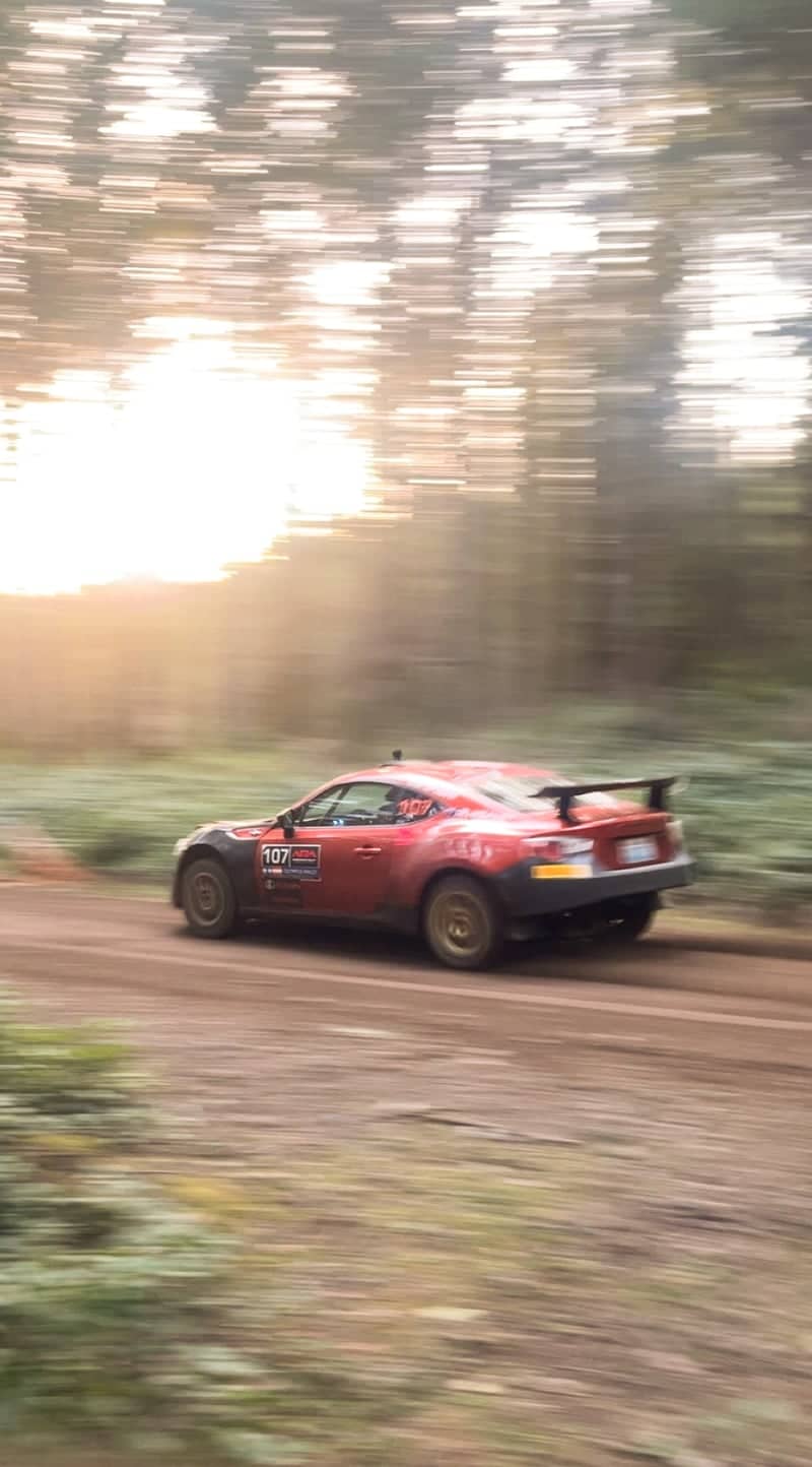 Shelton Forest Rally Stage - Image 1