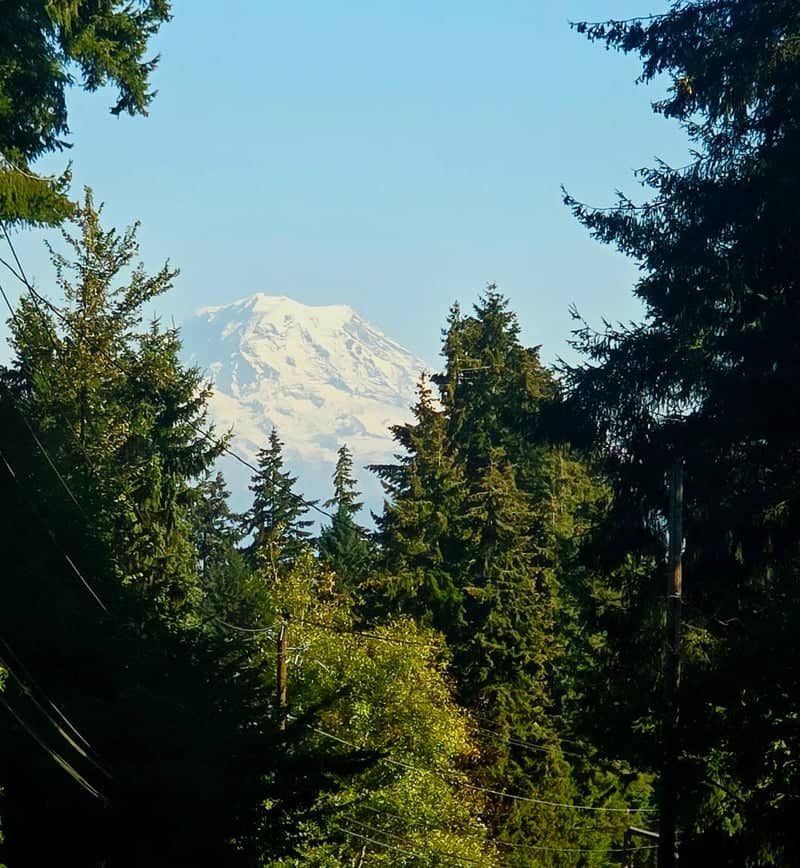 Mount Rainier View from Puyallup - Image 1