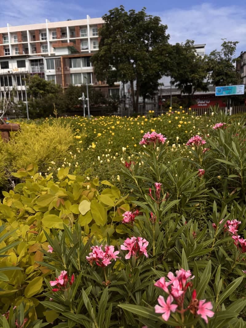 Santiphap Park - Image 2