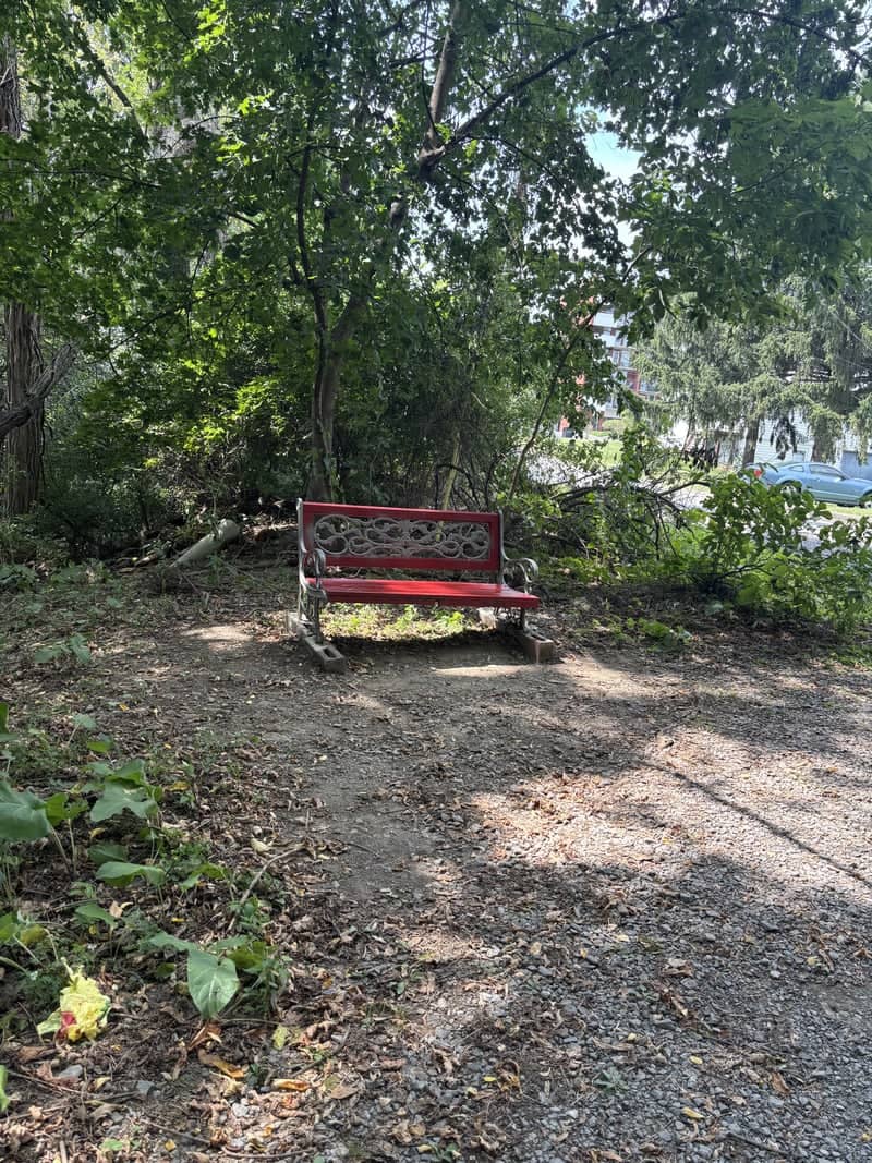 Maple Street Woodland Bench - Image 1