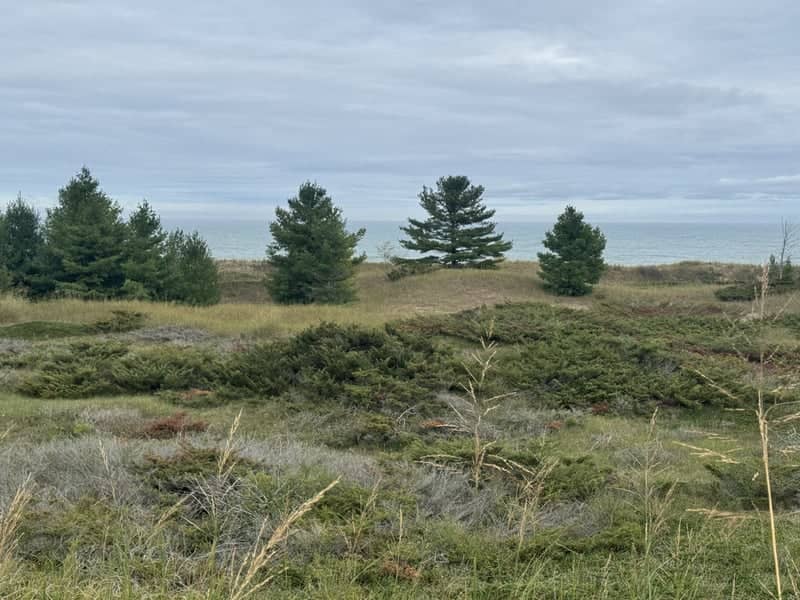 Kohler-Andrae State Park Dunes - Image 1
