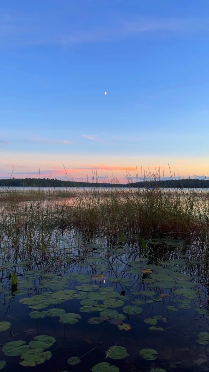 Massabesic Lake Shoreline - Image 1