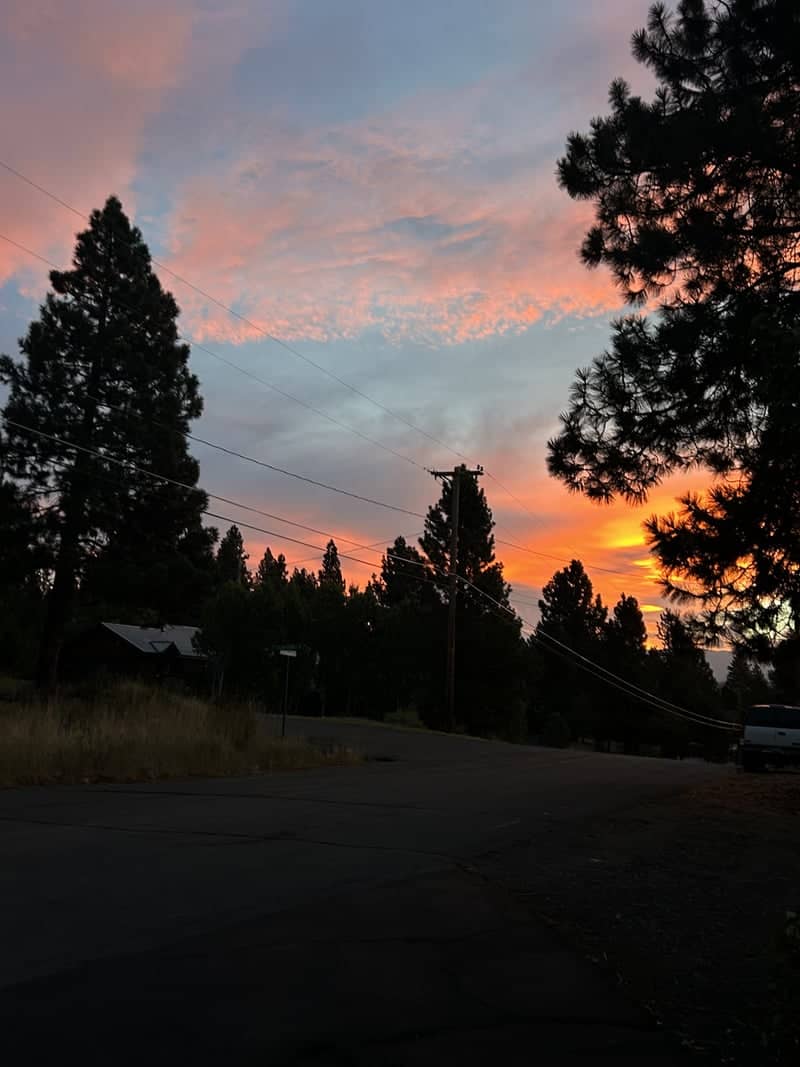 Truckee Pine Forest Sunset - Image 1