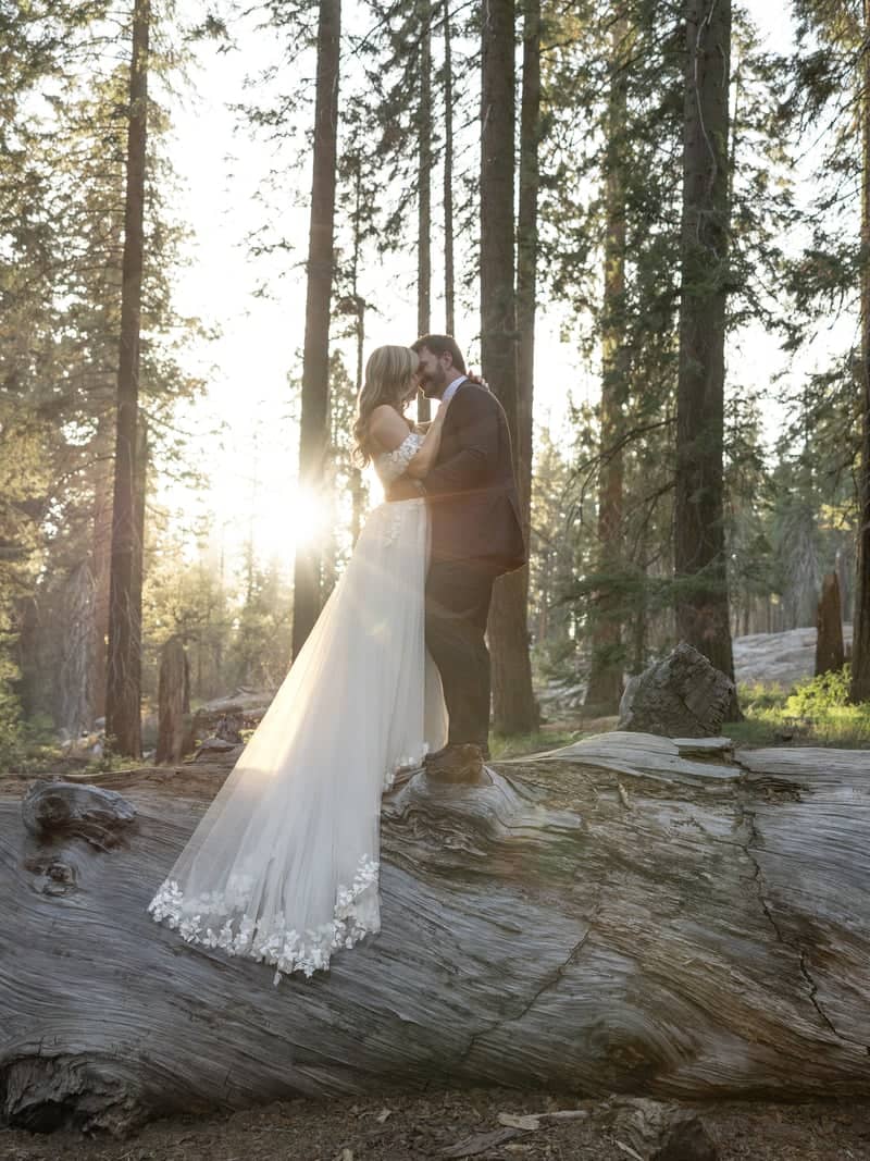 Giant Forest Sequoia Grove - Image 3